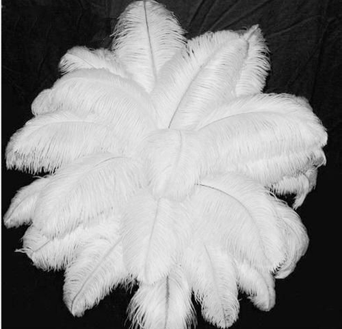 100 ostrich feathers